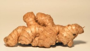 Ginger can help allieviate gastrointestinal distress and nausea